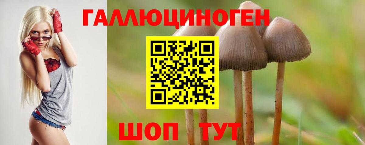 Галлюциногенные грибы мицелий  Вход с VPN  Нарткала  Псилоцибиновые грибы ЛСД 
